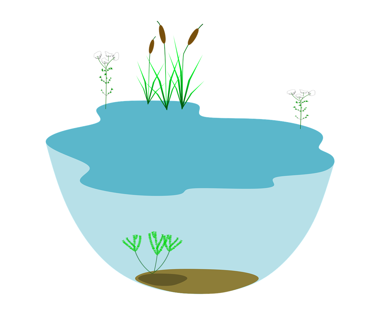 3. 水质净化过程