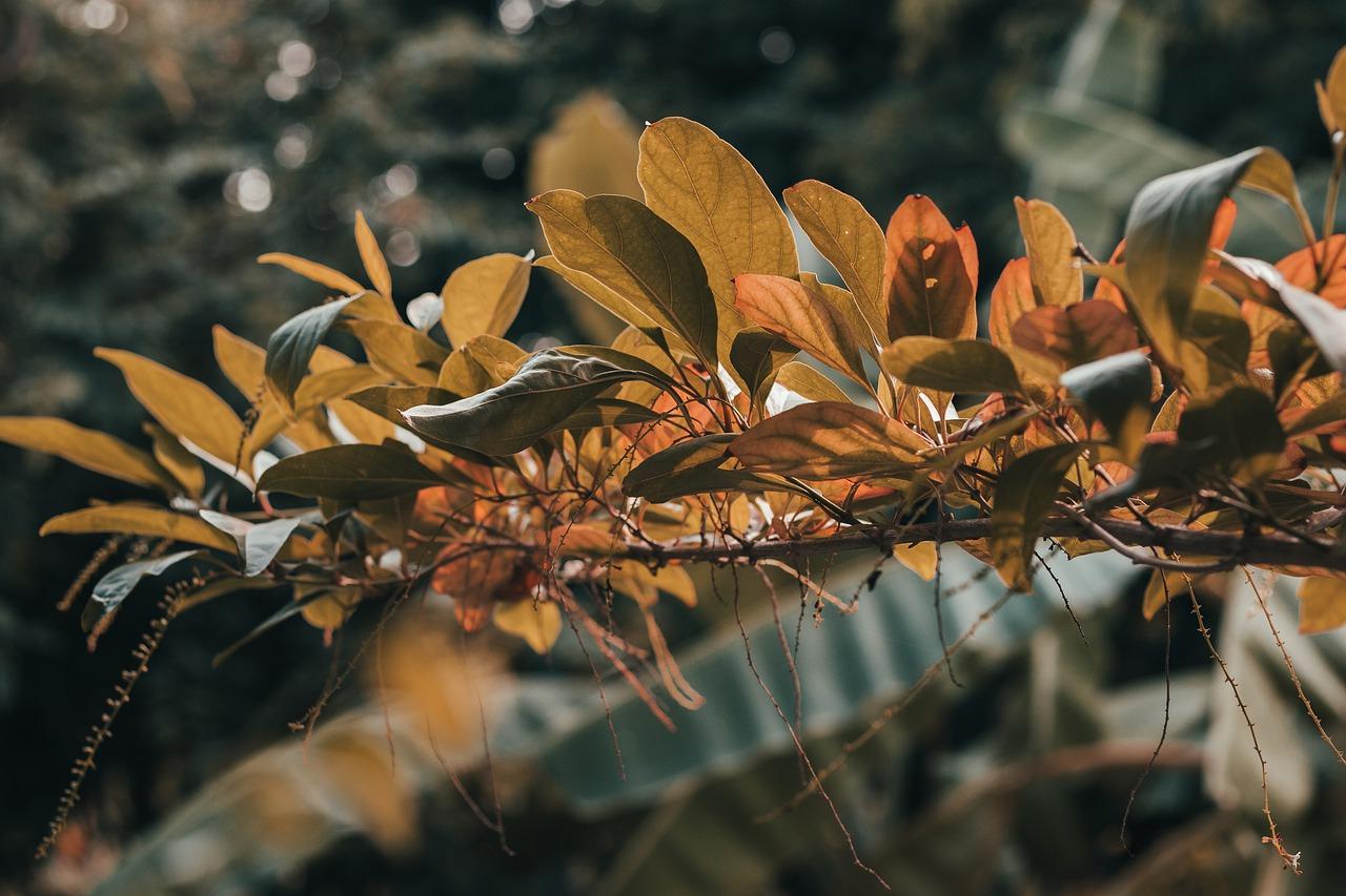 4. 夏集团园林景观