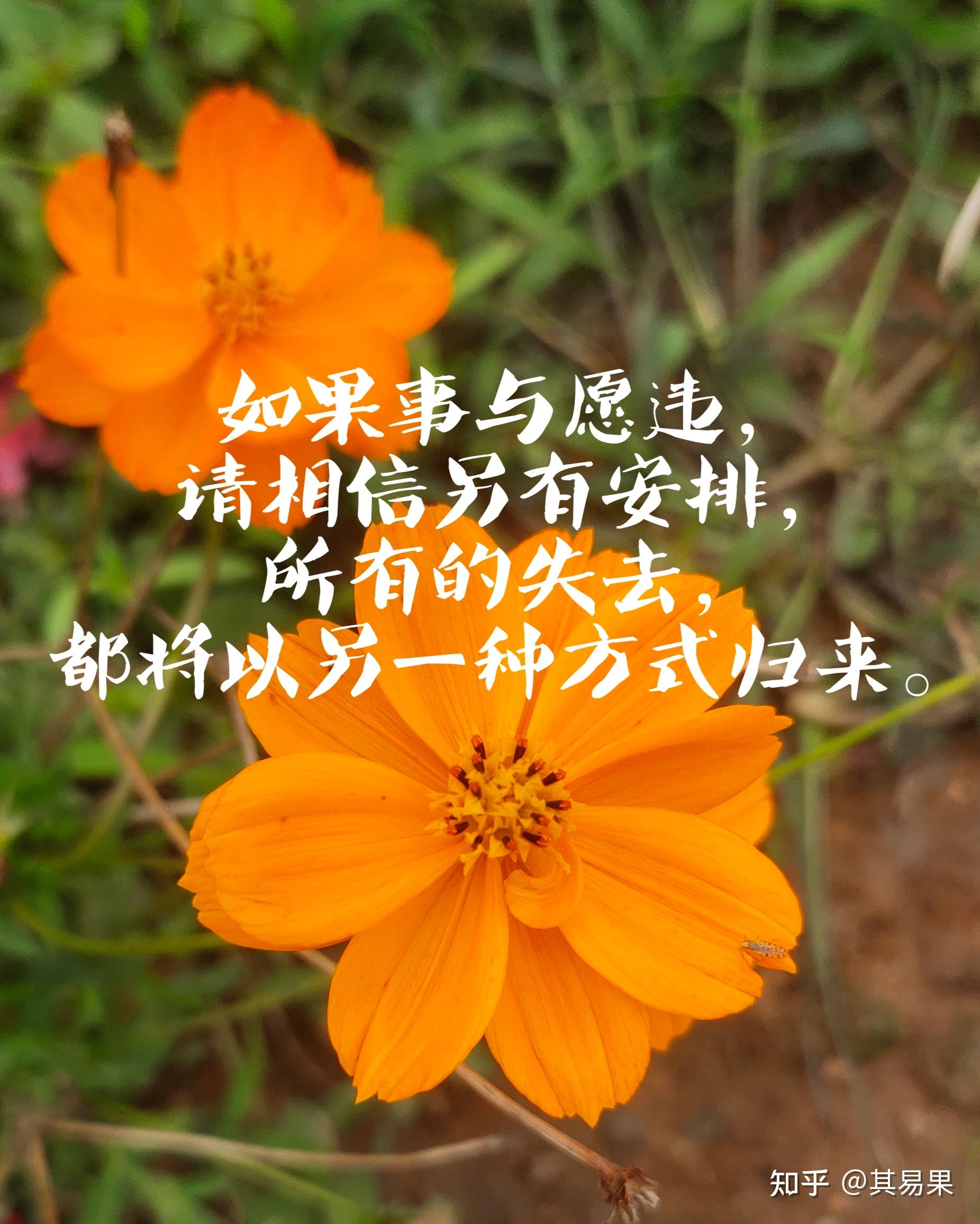 治愈人生的句子和文案有哪些?