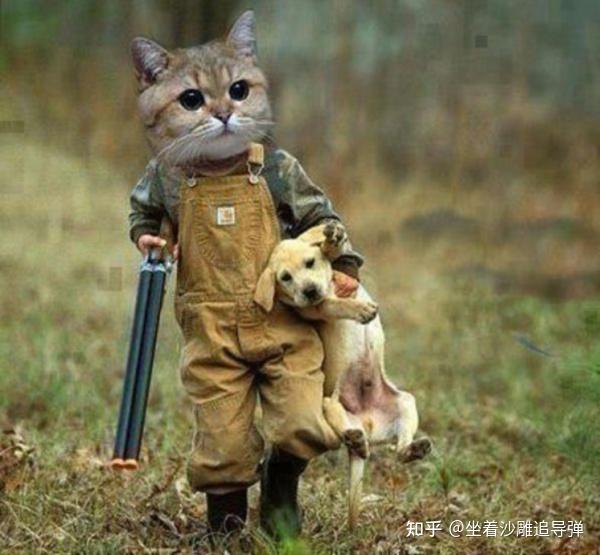 有没有什么动物拿枪的图片? - 知乎