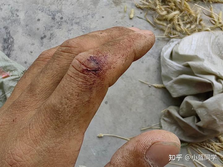 人，可以废物到什么程度？