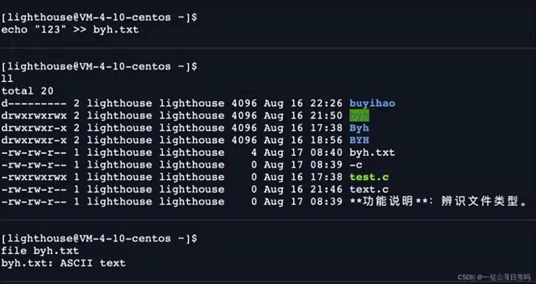 详解shell 运行原理及Linux权限 - 知乎
