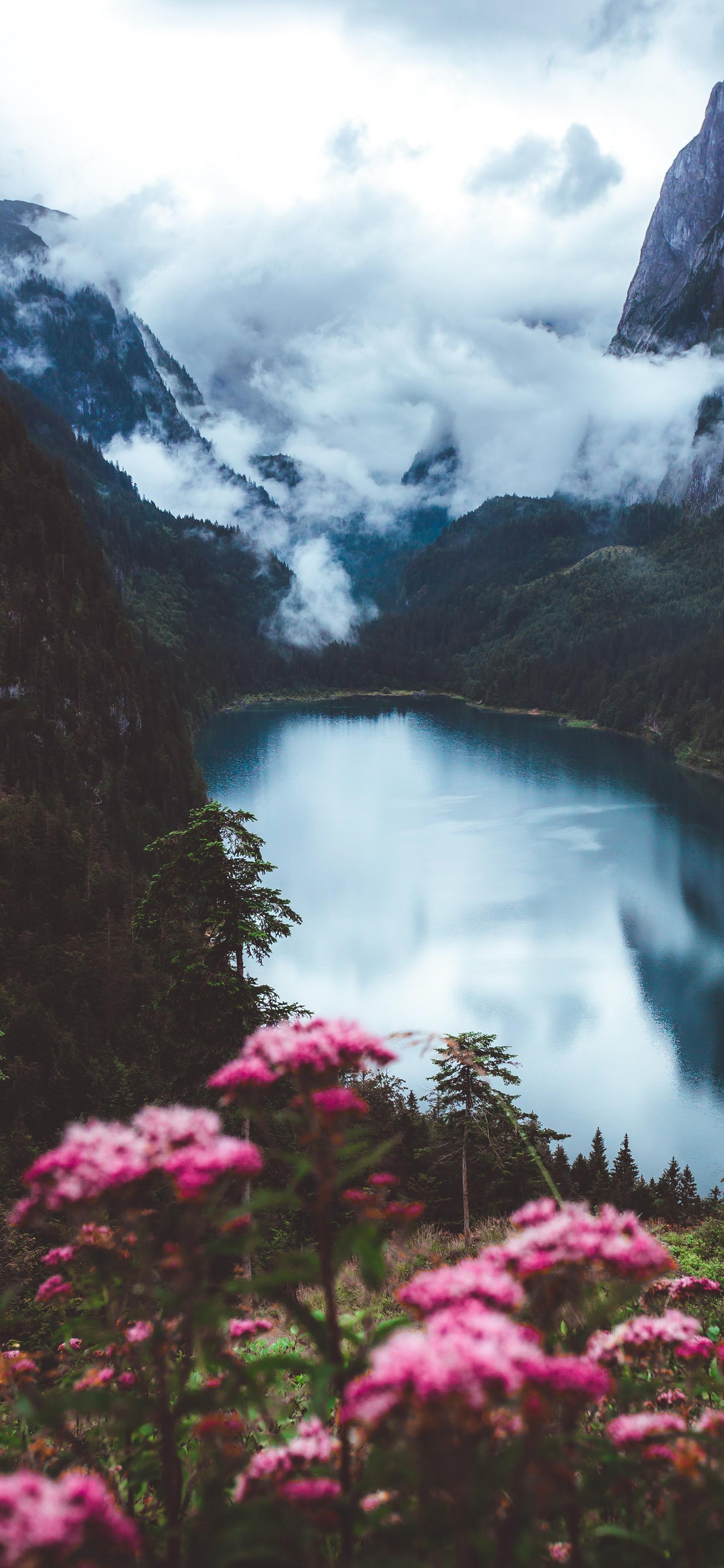 有哪些清凉如水的画作?