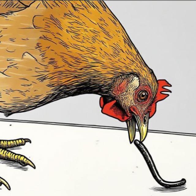 鸡如果吃了水蛭，水蛭可以钻破鸡的肠胃吗？