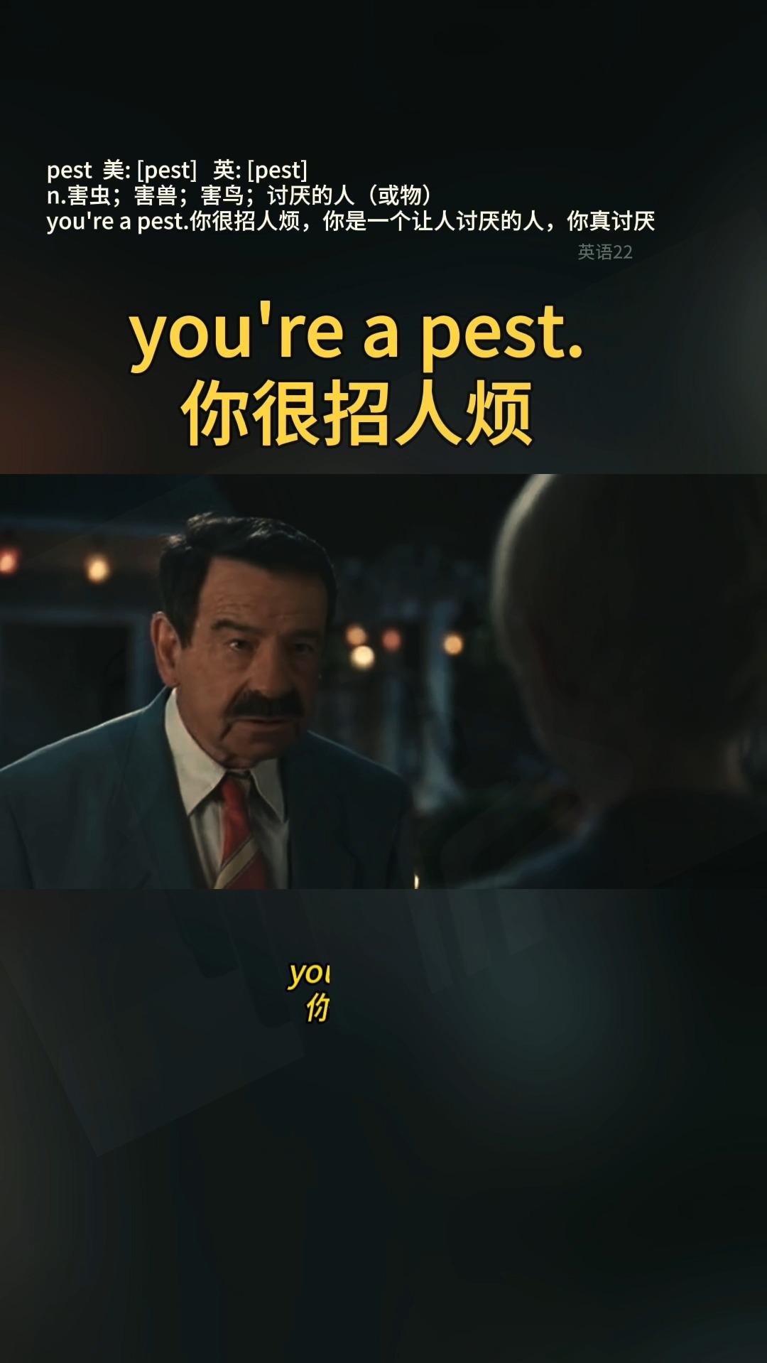 youreapest你很招人烦