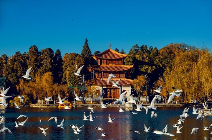 2023中国七大宜居城市,哪个城市最适合你? - 知乎