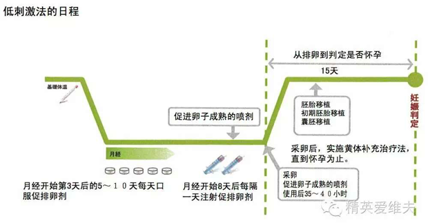 什么是试管婴儿的微刺激方案(做试管婴儿微刺激方案的具体步骤)-第2张图片-鲸幼网