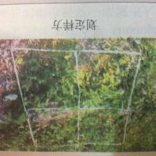 样方法 - 知乎