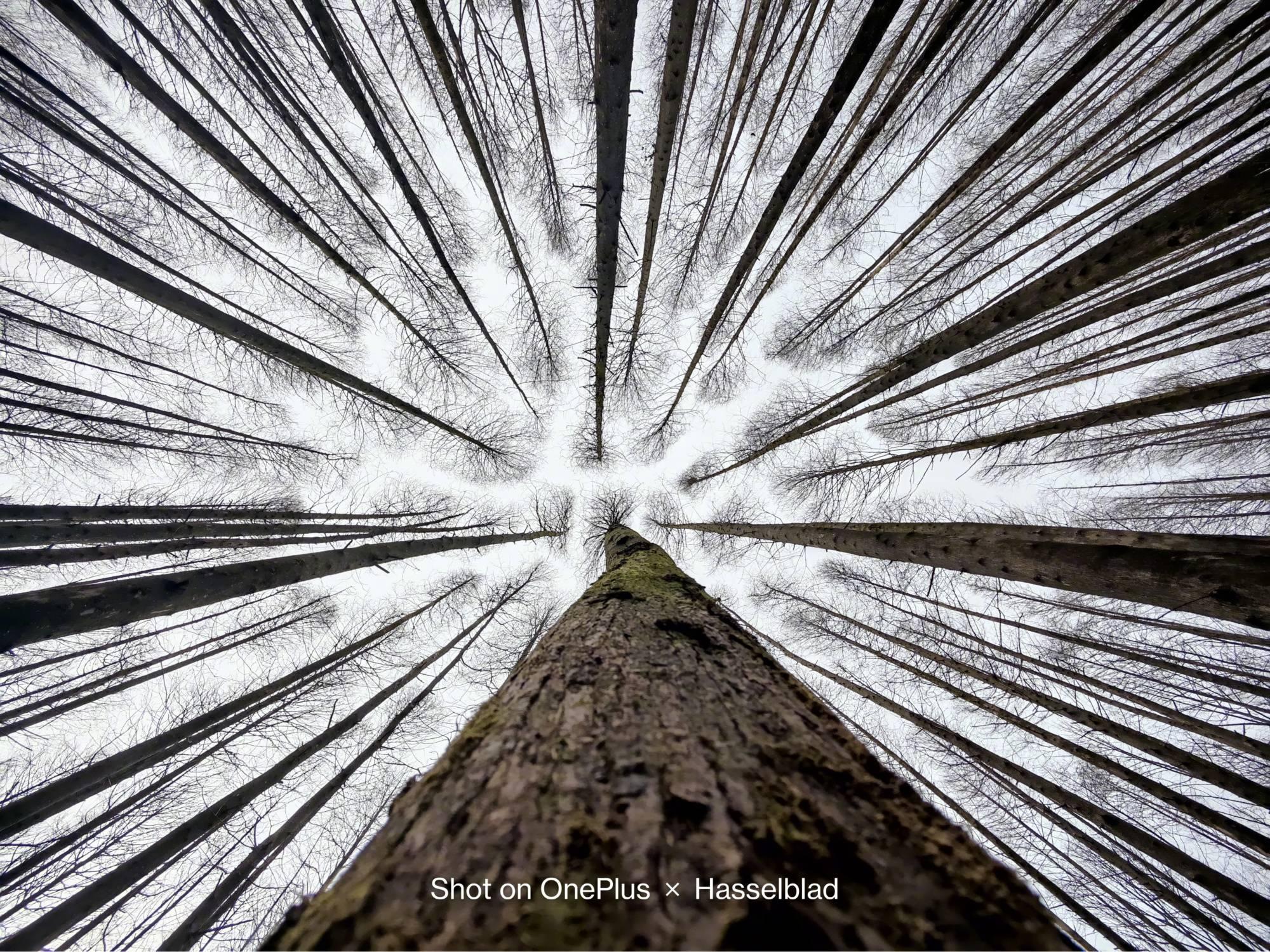 如何评价华为搭载世界首个自由曲面镜头,能够带来哪些提升?