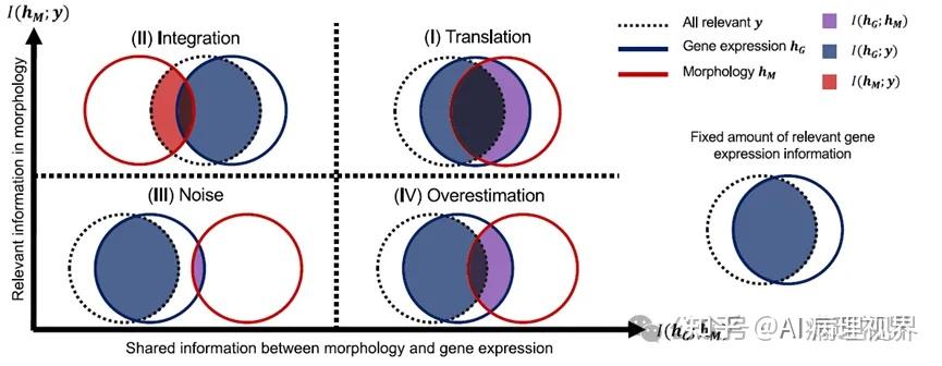 AI病理文摘 | Nature Methods同日“双黄蛋“：H&E切片预测空间转录组，研究热度空前 - 知乎