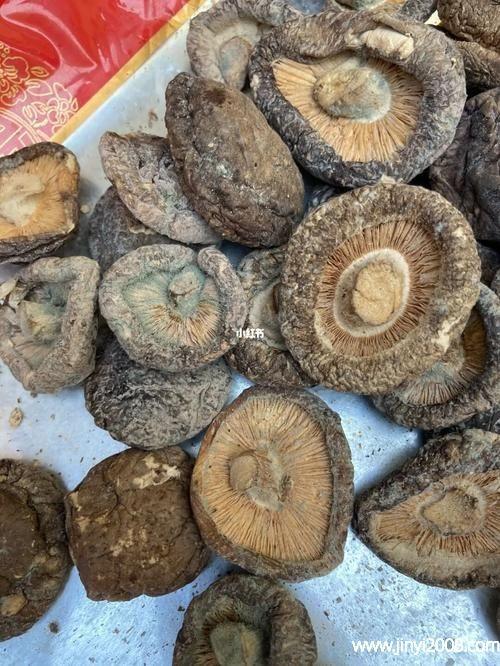 新鲜香菇发霉了可以洗了吃吗