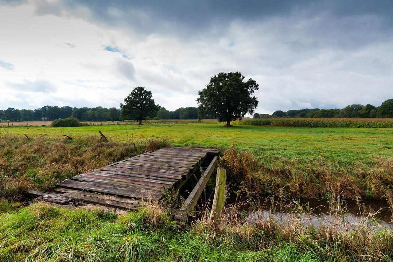 2. 大桥周边配套