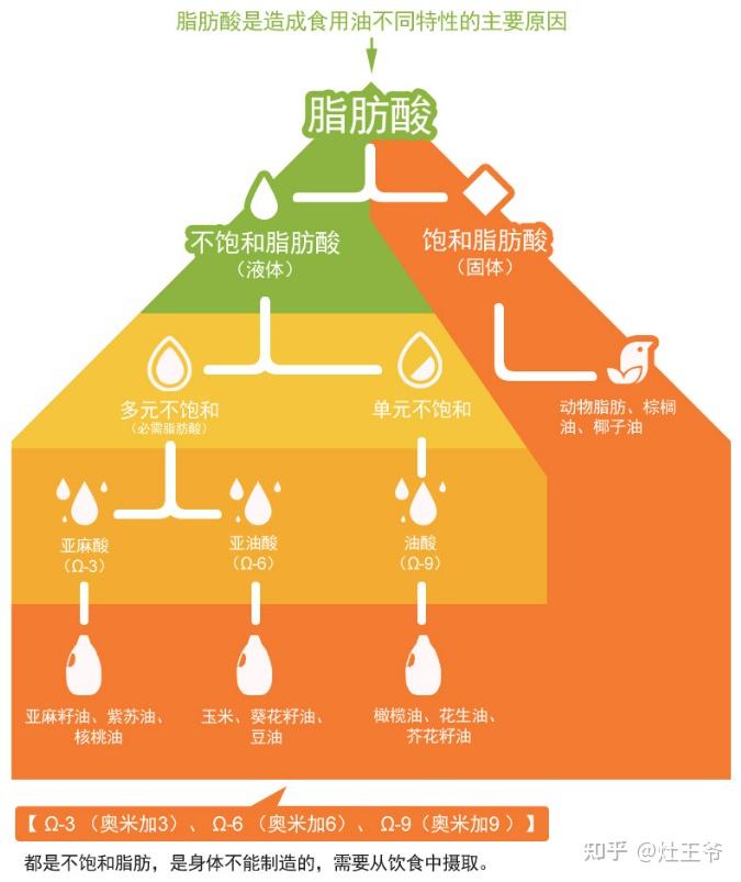 食用油换着吃更健康!食用油挑选指南:花生油、菜籽油、玉米油、大豆油、小磨香油、亚麻籽油、橄榄油、葵花籽油、稻米油、小麦胚芽油、牡丹籽油、山茶籽 ...