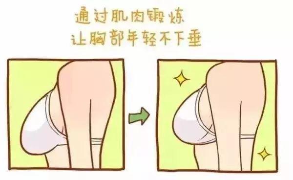 乳房干瘪萎缩图片图片