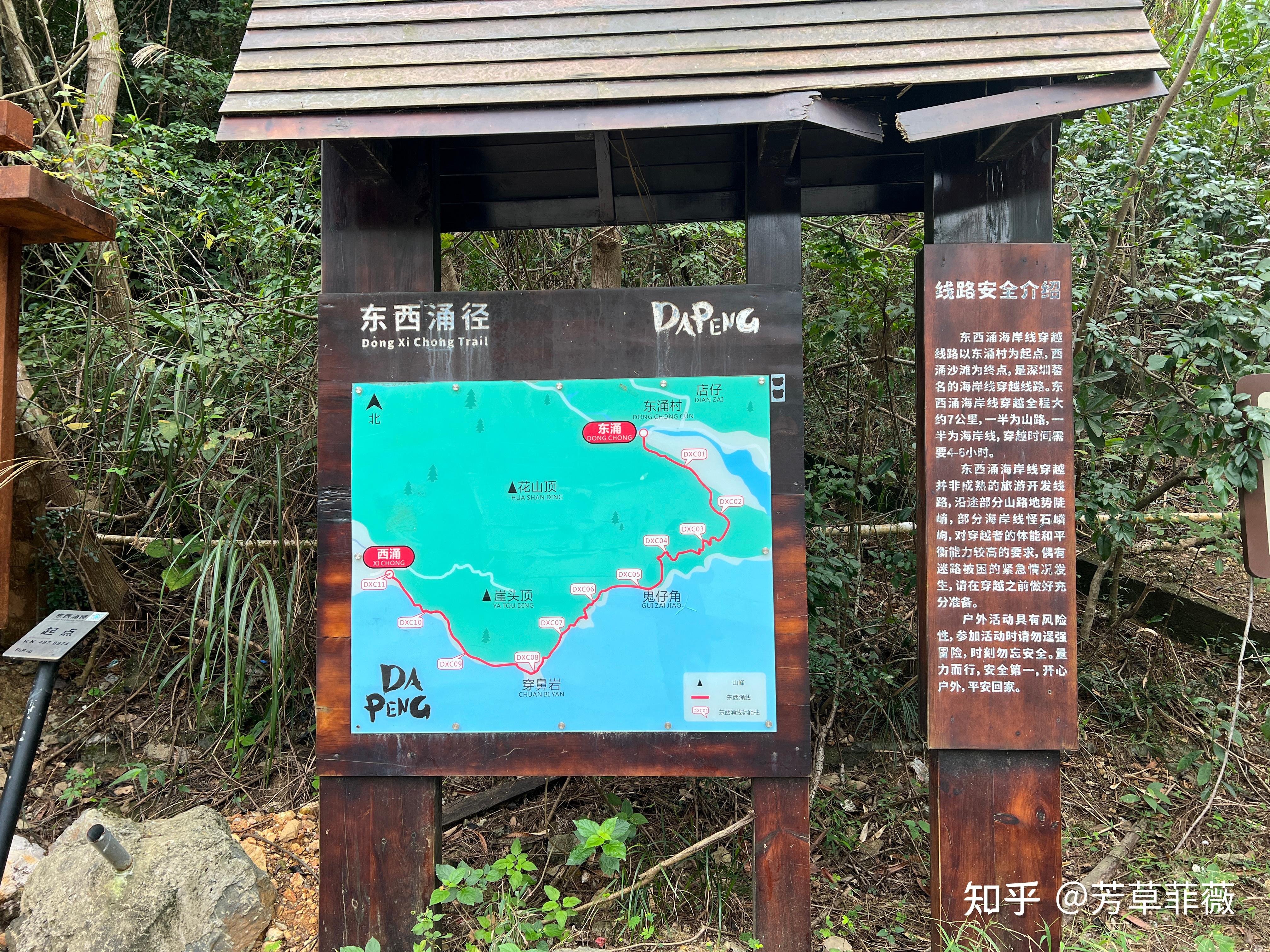 2025周末深圳好去处,深圳绿道徒步(持续更新中~) - 知乎