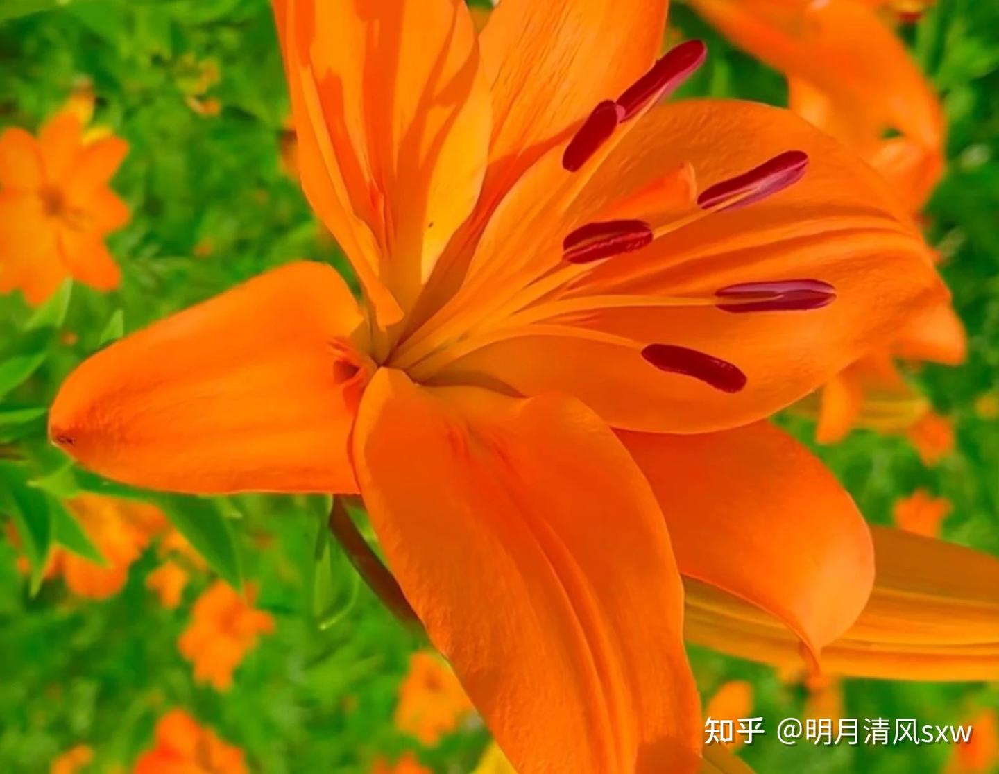 《颜氏家训》21:警惕!赶紧查看你的微信自称,一句称呼,会暴露一个人的很多信息 - 知乎