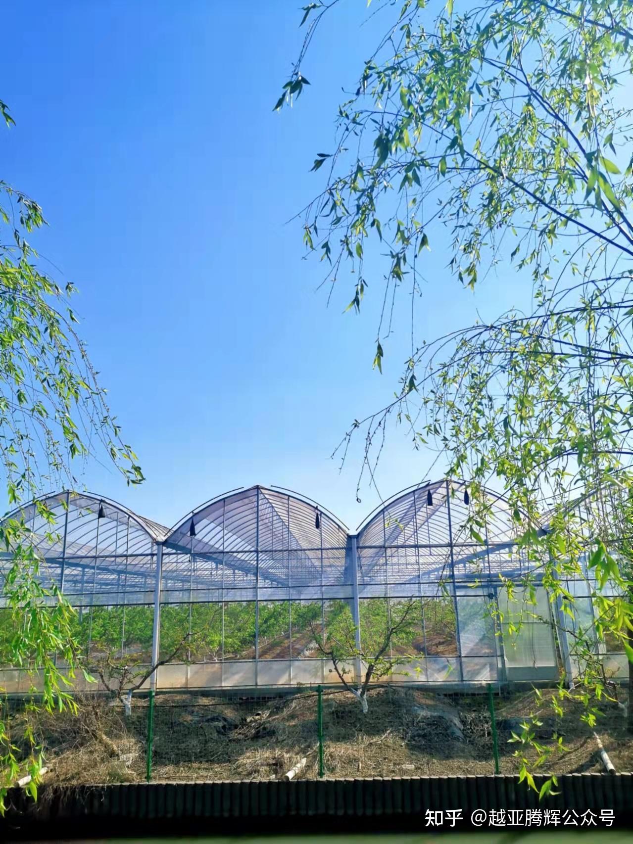在上海五四农场军训是怎样的体验?