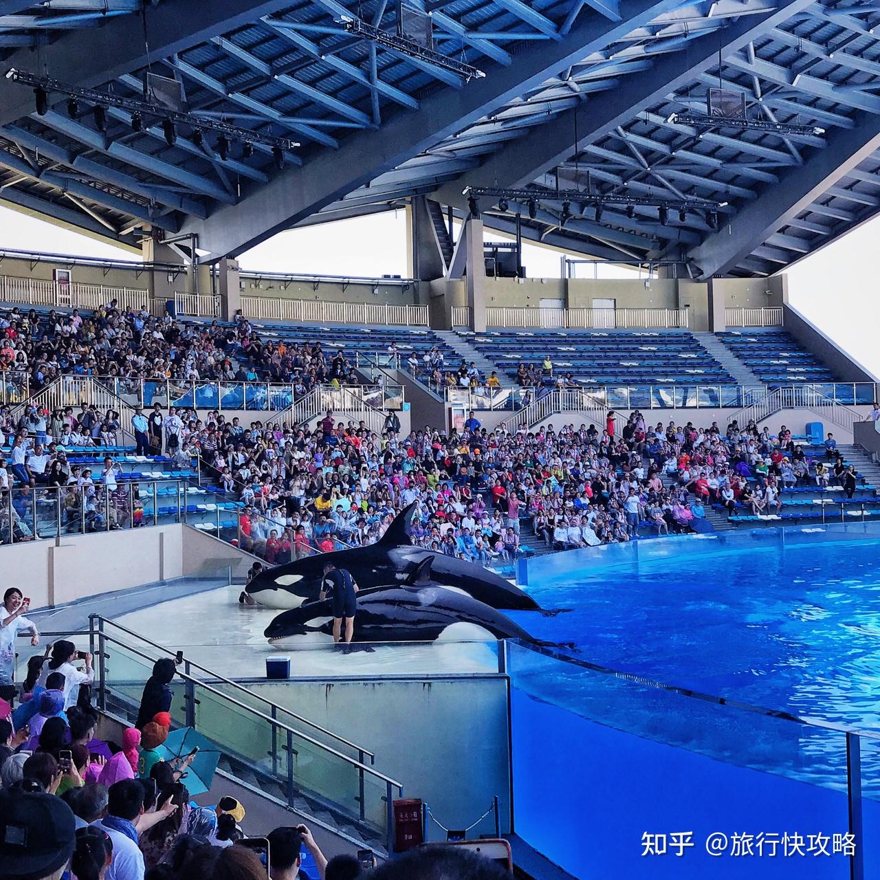 上海海昌海洋公園,上海長風海洋世界,上海海洋水族館這三個哪一個更