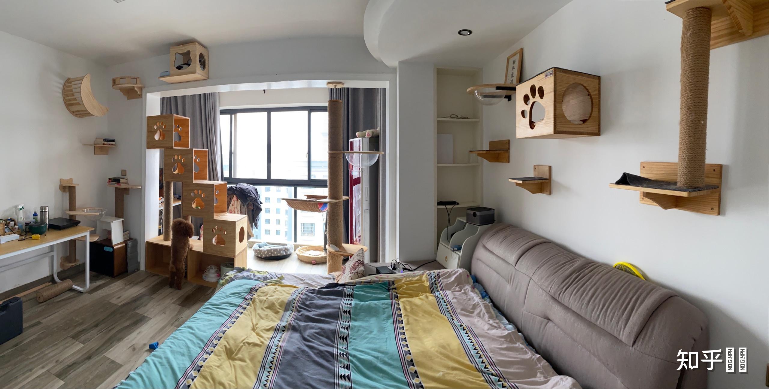 人卧室里养猫怎么样和猫一起生活