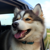 JackyQ