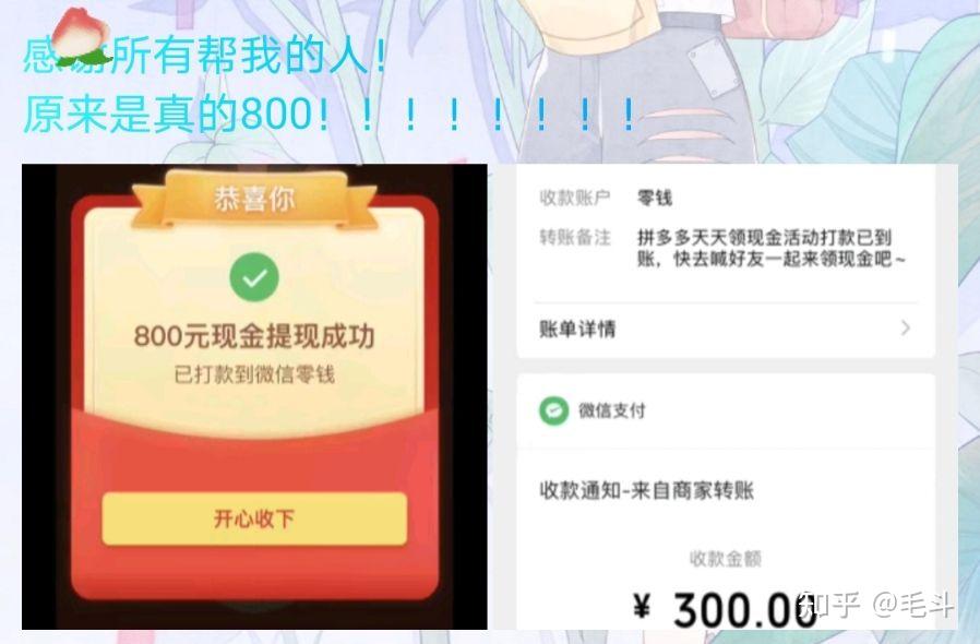 拼多多提现800元截图图片