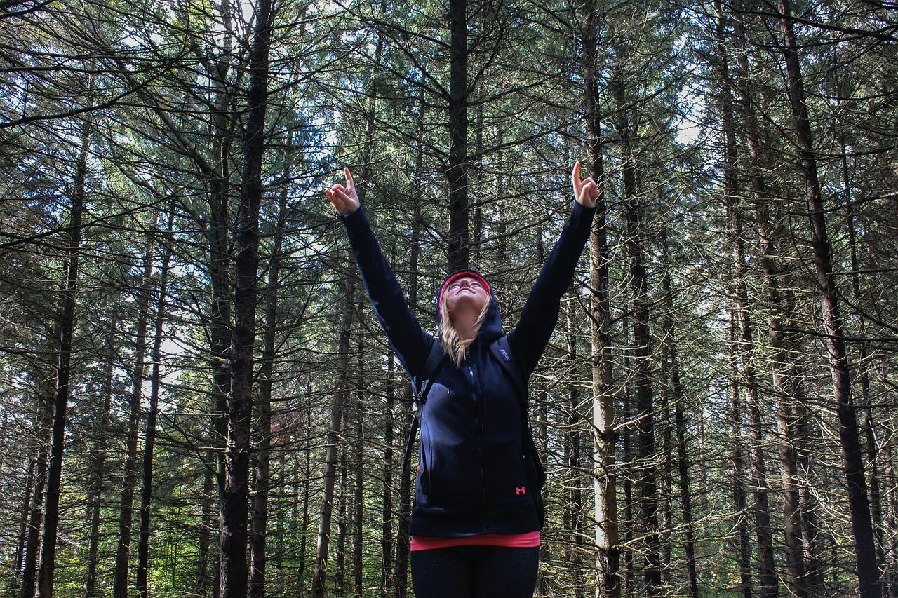 心灵的失落之旅