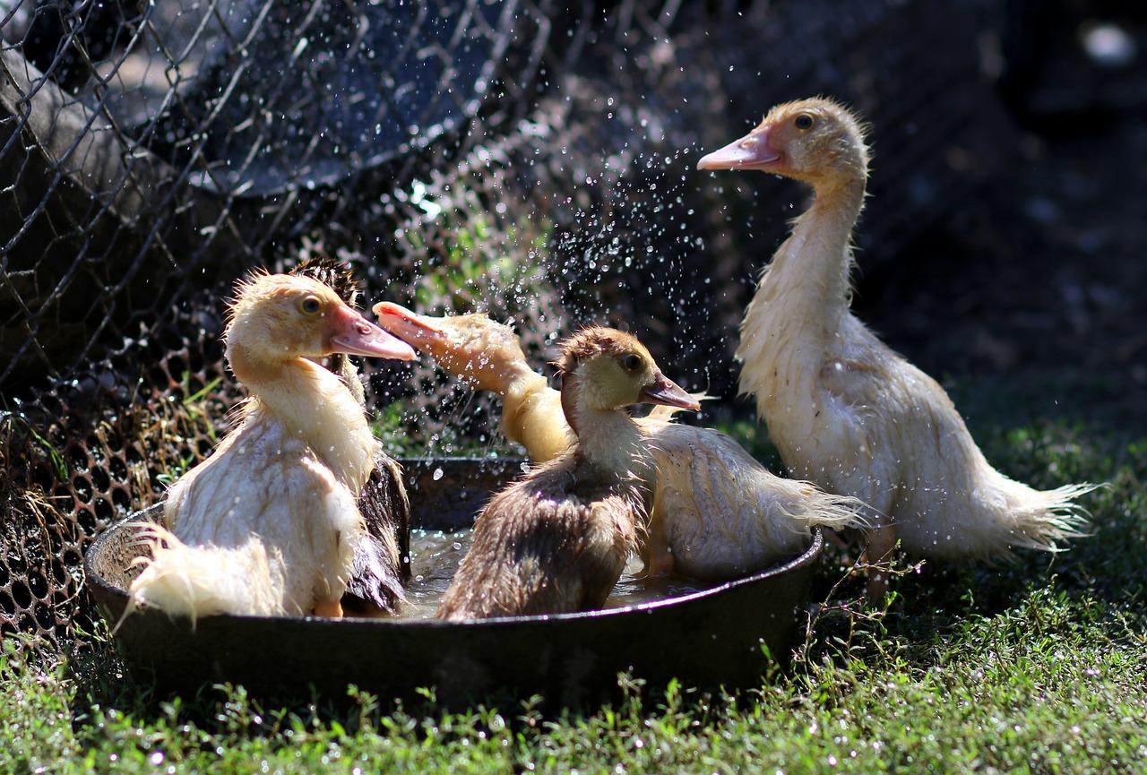 澡堂水蒸气如何
