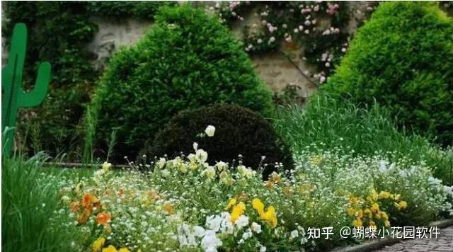 花境配置 - 知乎