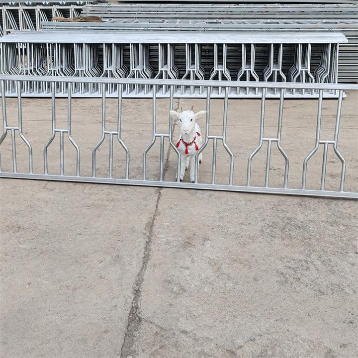 羊用采食饲喂栏