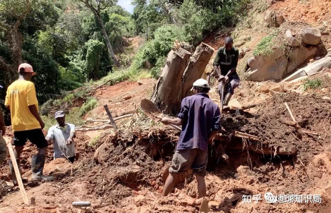 非洲真的缺粮食吗?