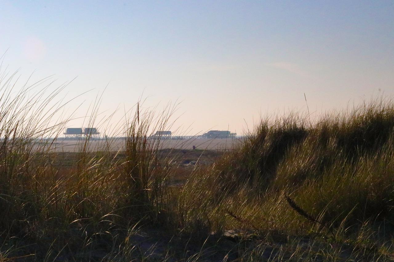 4. 观鸟赏花两不误