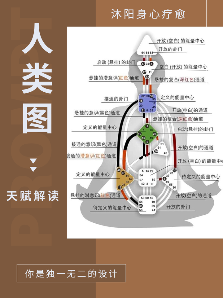 人类图——人类图解读分析有什么作用?