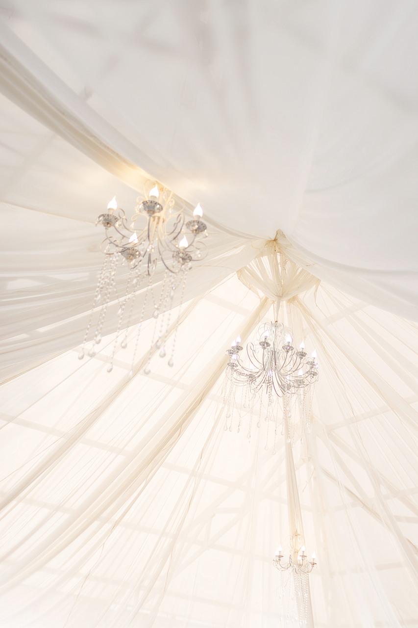 3. 简约康乃馨捧