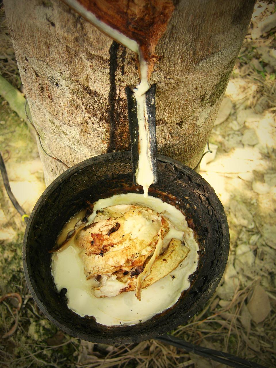 什么橡胶有味道