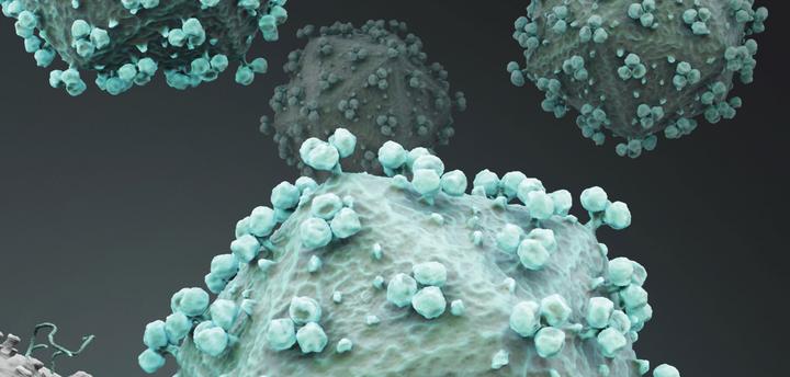 研究表明: 拉米夫定出现M184V/I突变后依然可以使用DTG+3TC组合(多伟托) - 知乎