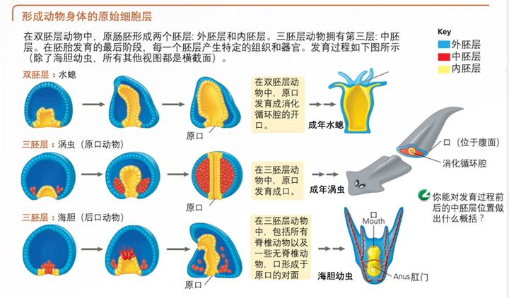 最新版本的dege浏览器一直显示正在设置同步且同步选项全部显示即将推出 知乎