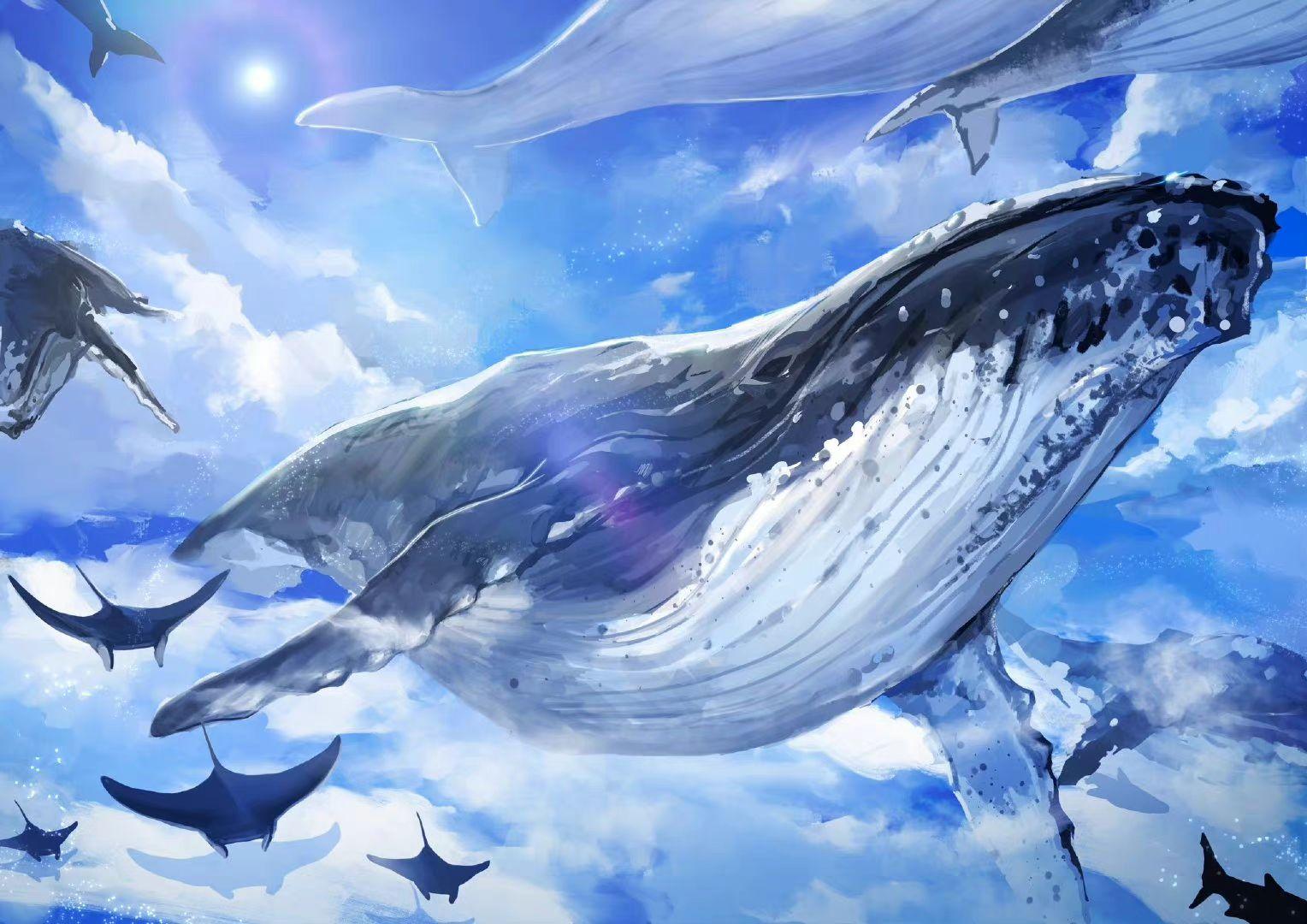 为什么日本插画里有很多鲸鱼飞在空中的梦幻唯美的场景? 