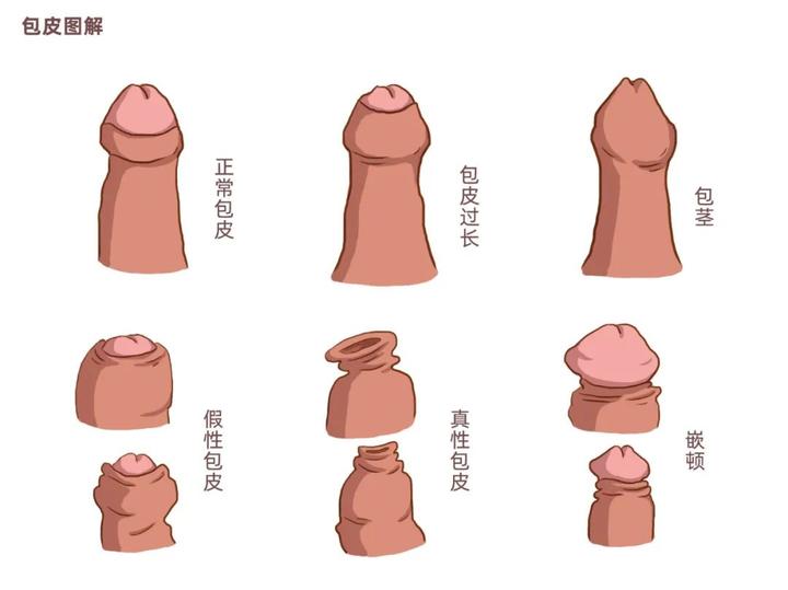zhuanlan.zhihu.com