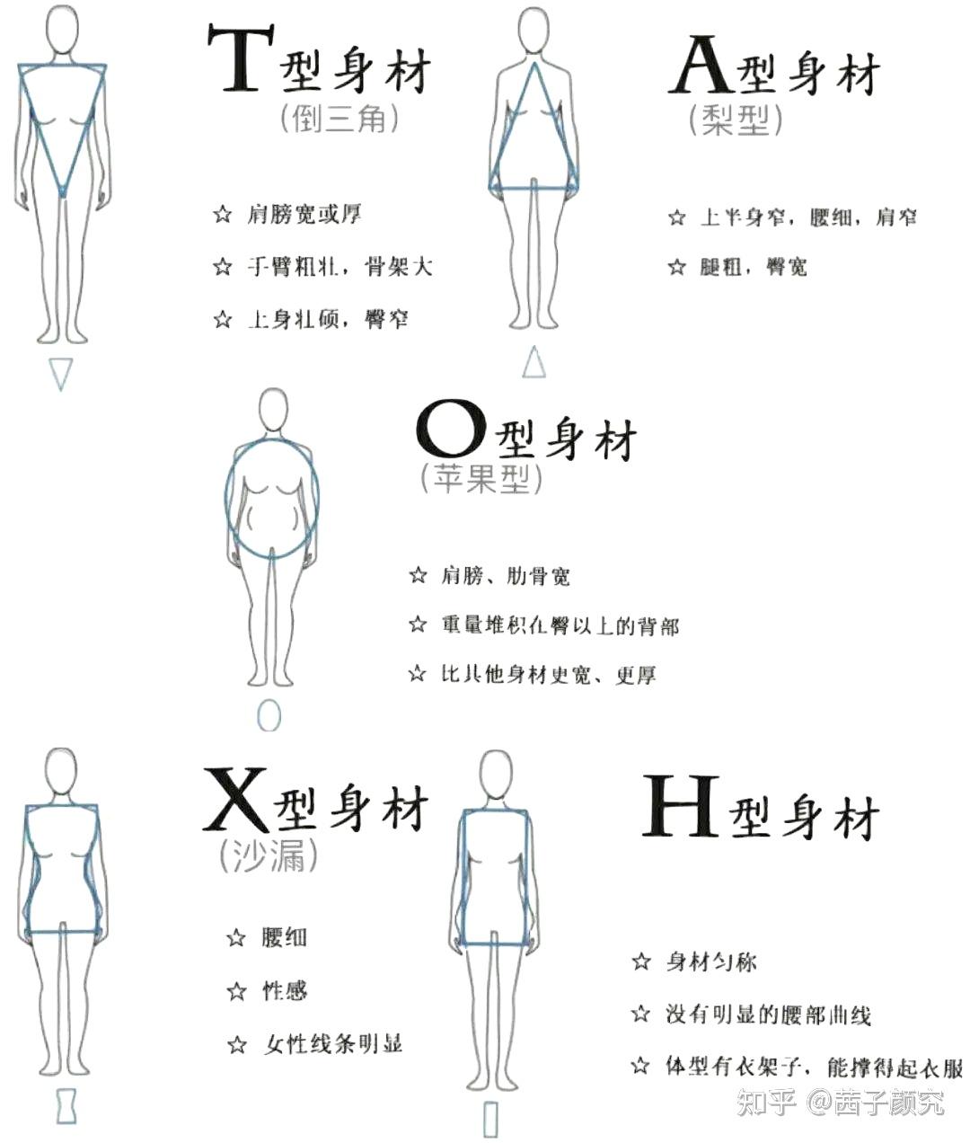 女性身材分类图片图片