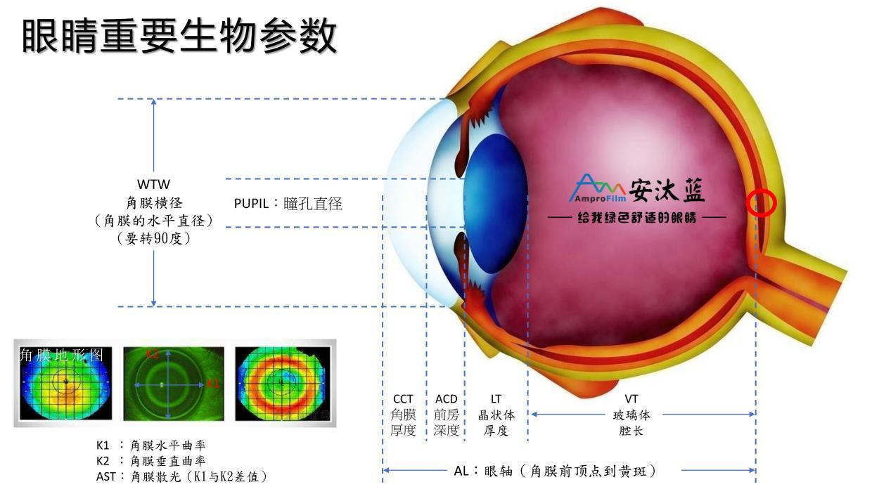 求问知乎大佬们这份眼睛生物测量报告是啥意思