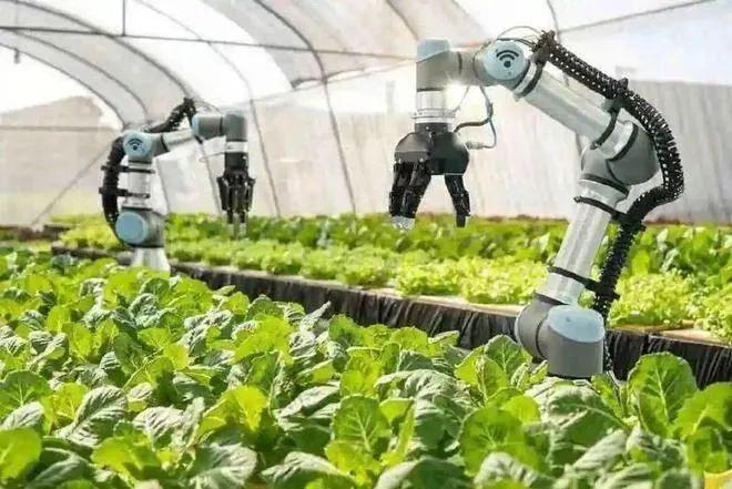【技术观点】虚拟现实技术在农业中的应用 - 知乎