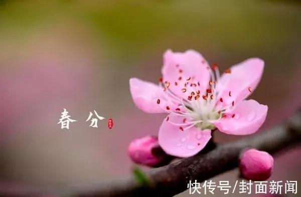 “春分秋分,昼夜平分”?这一天,全球都一样丨民俗日历·二十四节气 - 知乎