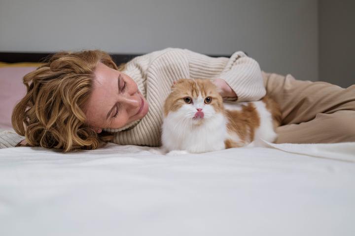 解锁撸猫正确手法，让猫咪更爱你 - 知乎