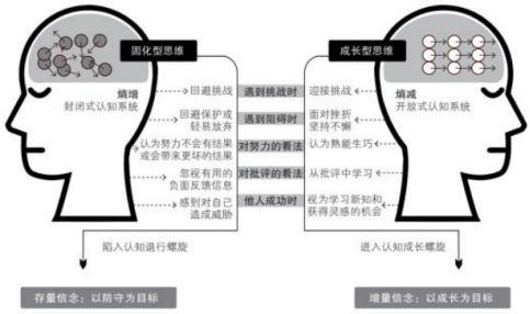 复杂时代,如何获得可持续的高级快乐?从内耗到心流,熵减行动指南 - 知乎