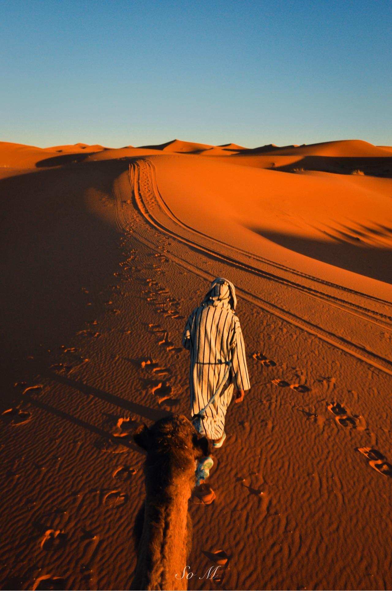 沙漠旅游照片图片