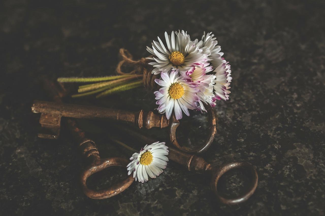 什么牌子的发夹比较好