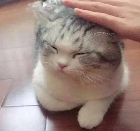 解释清楚《老子》的道,对中国哲学是什么级别的贡献? - 知乎