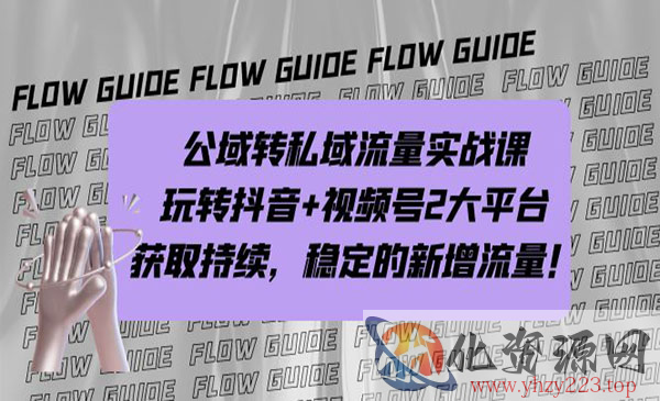 《公域转私域流量实战课》玩转抖音+视频号2大平台，获取持续，稳定的新增流量_wwz