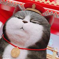 Zhihu profile picture for @fraulein