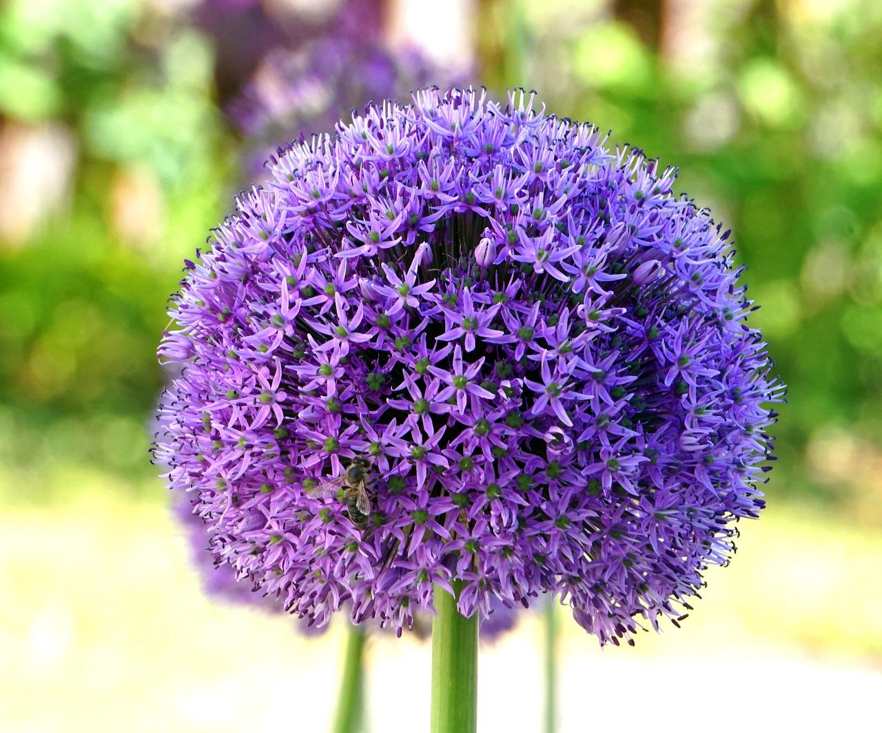 4. 周边配套详述